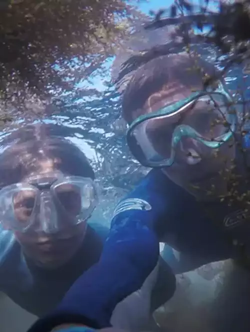 divers under water