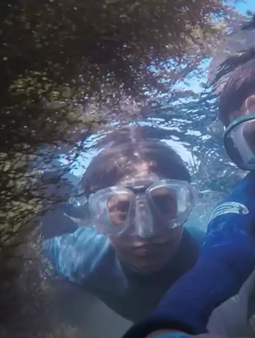 divers under water