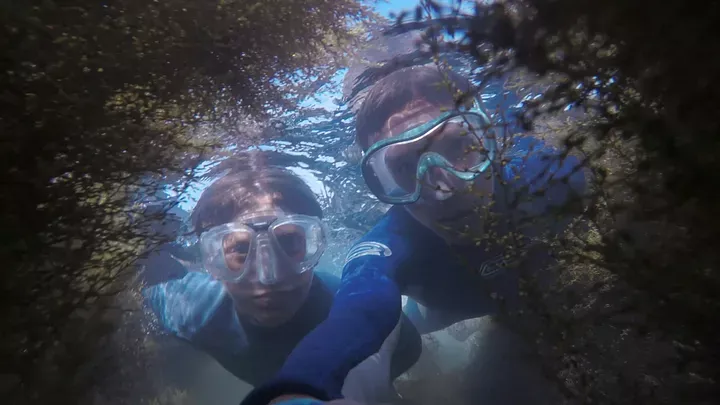 divers under water